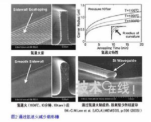 （圖）蝕刻扇形槽