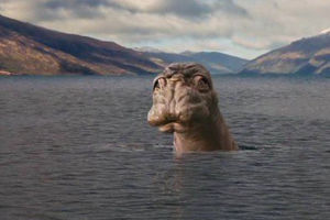 喀納斯湖水怪 喀納斯湖水怪