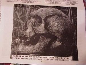 野女人扎娜 野女人扎娜