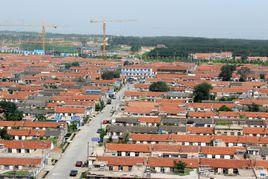 東泊子村[煙臺高新區東泊子村]