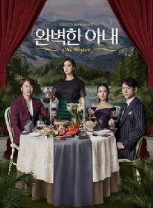 完美的妻子 完美的妻子