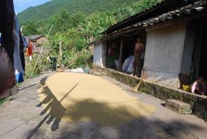 豎中自然村 豎中自然村