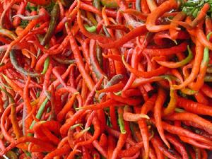 谷把自然村-紅辣椒