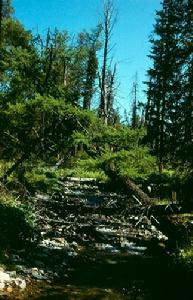 阿爾泰諾爾烏梁海