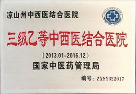 三級乙等醫院 三級乙等醫院