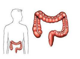 直腸與肛門狹窄 直腸與肛門狹窄