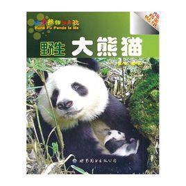 野生熊貓[野生動物]