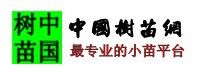 中國樹苗網 中國樹苗網