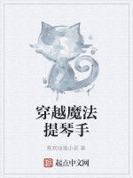 穿越魔法提琴手 穿越魔法提琴手