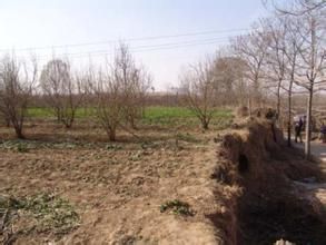 蘆村城址 蘆村城址