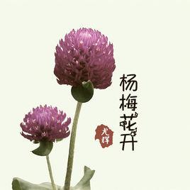 楊梅花開[尤輝演唱歌曲]