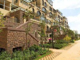 花韻藍山 花韻藍山