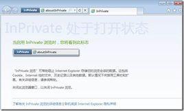 InPrivate瀏覽 InPrivate瀏覽