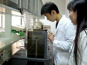 雙向凝膠電泳 雙向凝膠電泳