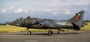 Harrier Harrier