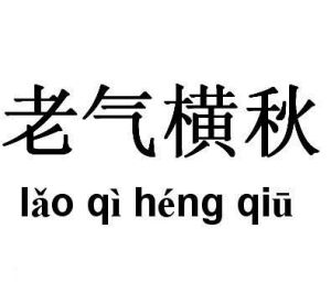 老氣橫秋 老氣橫秋