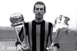 阿爾曼多 阿爾曼多