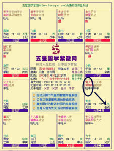 紫相同宮 紫相同宮