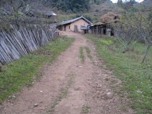 托羅坪村 托羅坪村