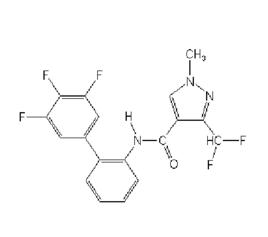 氟唑菌醯胺 氟唑菌醯胺