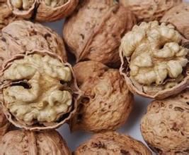 天津核桃 天津核桃