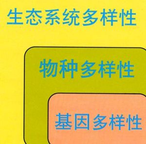 遺傳多樣性 遺傳多樣性
