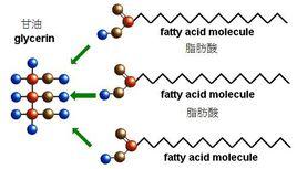 游離脂肪酸含量 游離脂肪酸含量