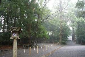 如夢令·點滴空階疏雨 如夢令·點滴空階疏雨