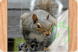 各種動物拼圖 各種動物拼圖