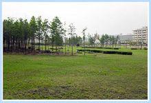 興英科技（深圳）有限公司