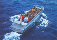 義大利聖馬可陸戰營 義大利聖馬可陸戰營