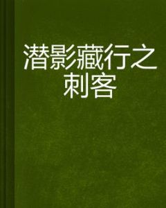 潛影藏行之刺客