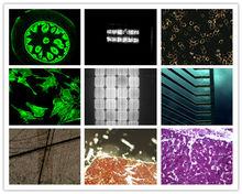 部份套用領域實拍效果圖