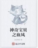 神奇寶貝之血鳳 神奇寶貝之血鳳