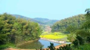 金崗嶺村 金崗嶺村