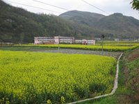 安康石泉--中壩大峽谷 - e