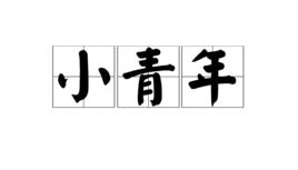 小青年 小青年
