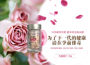 備孕好乳酸菌片