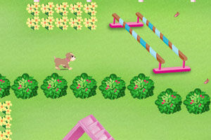 《芭比娃娃訓狗記》 《芭比娃娃訓狗記》