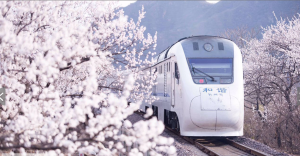和諧號列車穿越居庸關花海