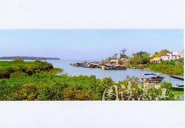 徐聞八景 徐聞八景