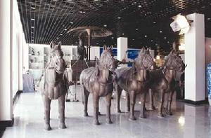馬博物館
