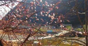 密雲水關漁村 密雲水關漁村