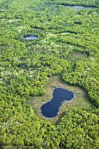休倫-馬尼斯蒂國家森林 休倫-馬尼斯蒂國家森林