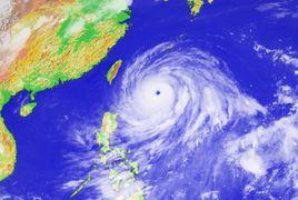 海棠[颱風名字]