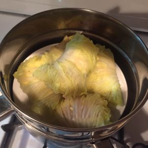 白菜卷便當 白菜卷便當