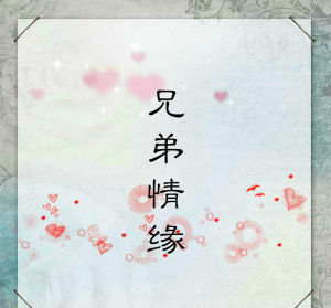 兄弟情緣 兄弟情緣