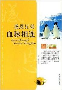 感恩兄弟:血脈相連 感恩兄弟:血脈相連