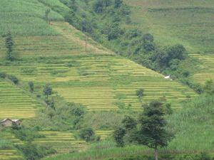 下郭家寨自然村 下郭家寨自然村