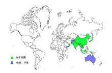 水雉世界分布圖